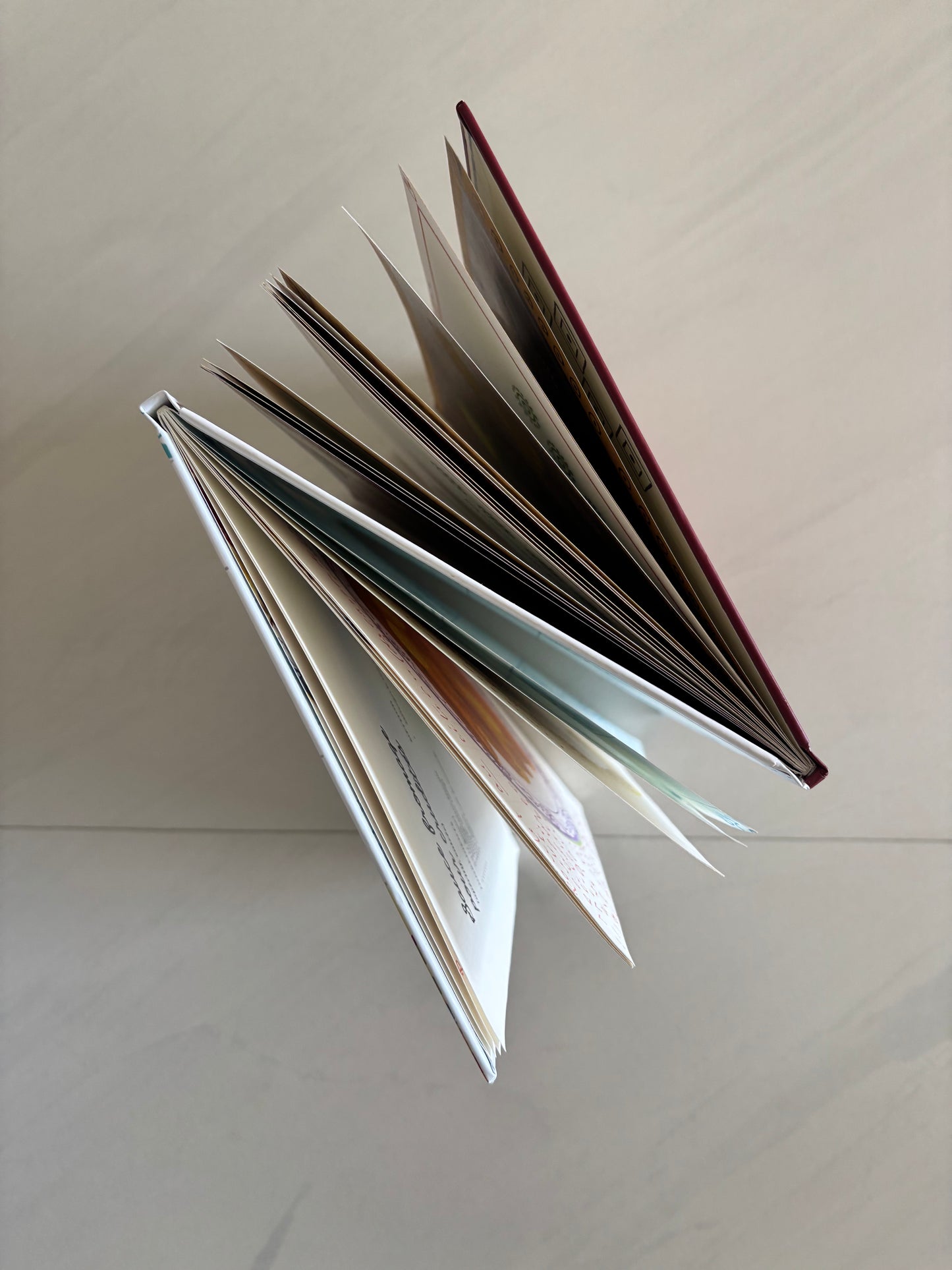The Double Cookbook | Two families. Two kitchens. One extraordinary book.